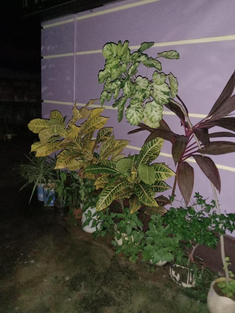 Vian Homestay Honavar Ngoại thất bức ảnh